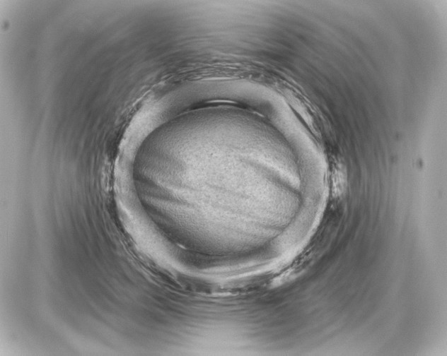 X0000087550750200705112121