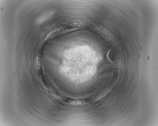 X0000087550751200705112121