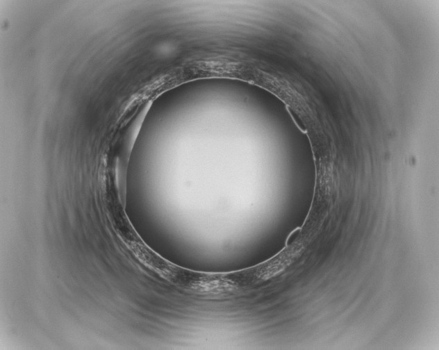 X0000087550752200705112121