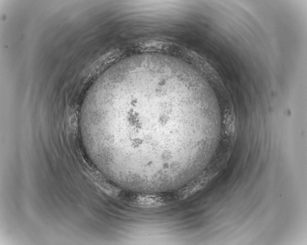 X0000087550753200705112121