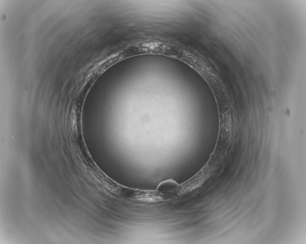 X0000087550754200705112121