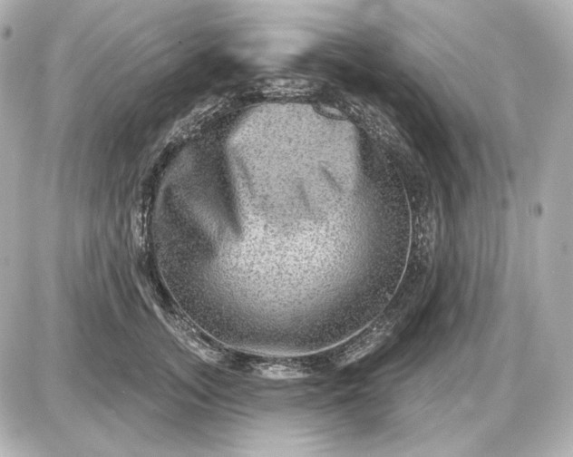 X0000087550755200705112121