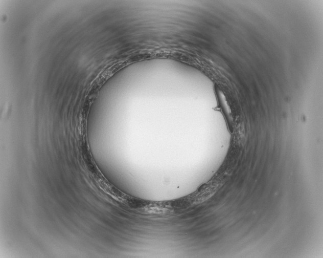 X0000087550756200705112121