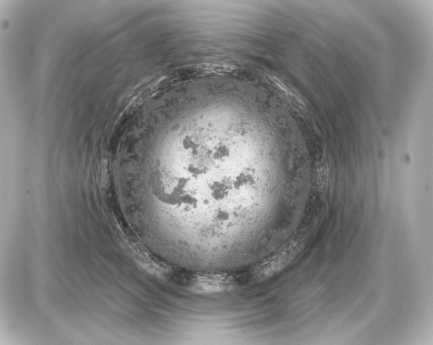 X0000087550757200705112121