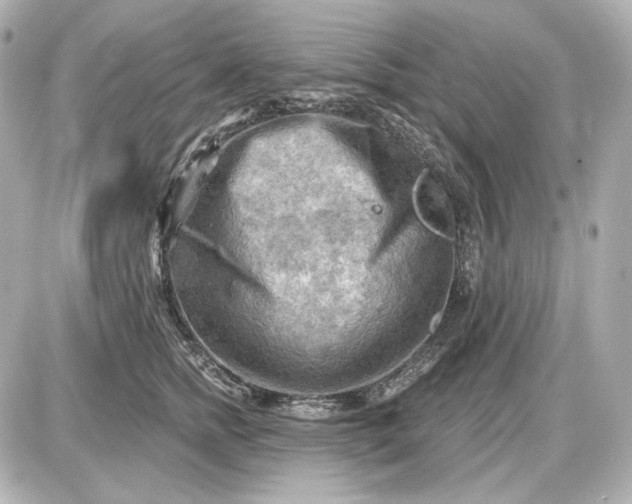 X0000087550758200705112121