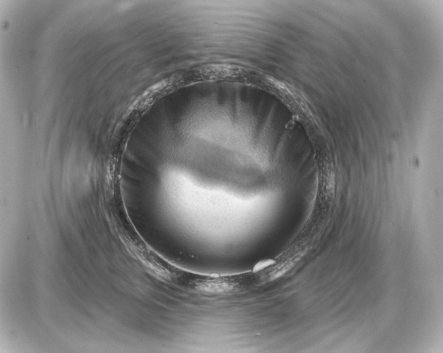 X0000087550759200705112121