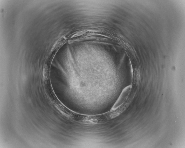 X0000087550760200705112121