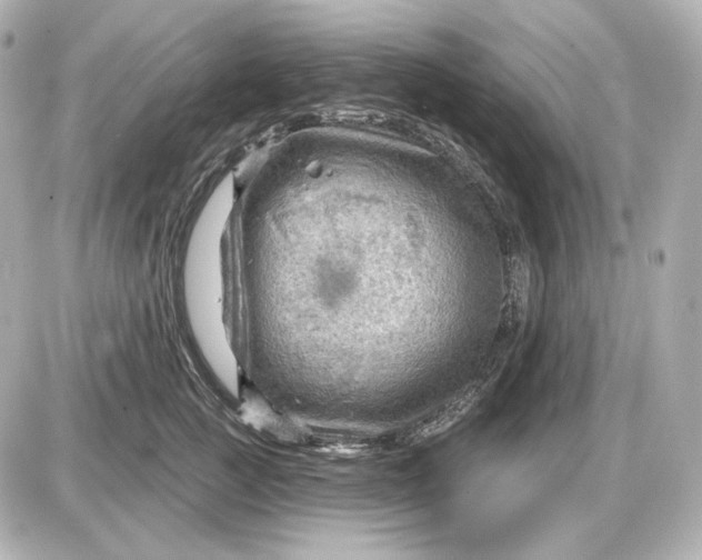 X0000087550761200705112121