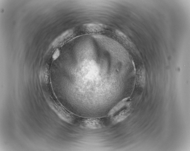 X0000087550762200705112121