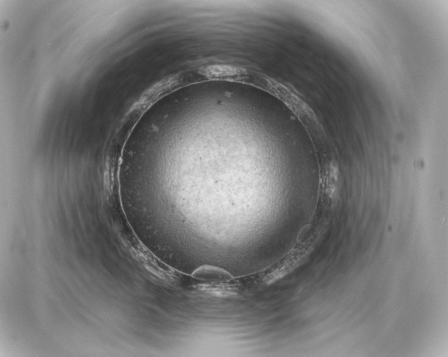 X0000087550763200705112121