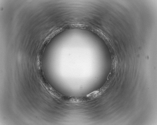 X0000087550764200705112121