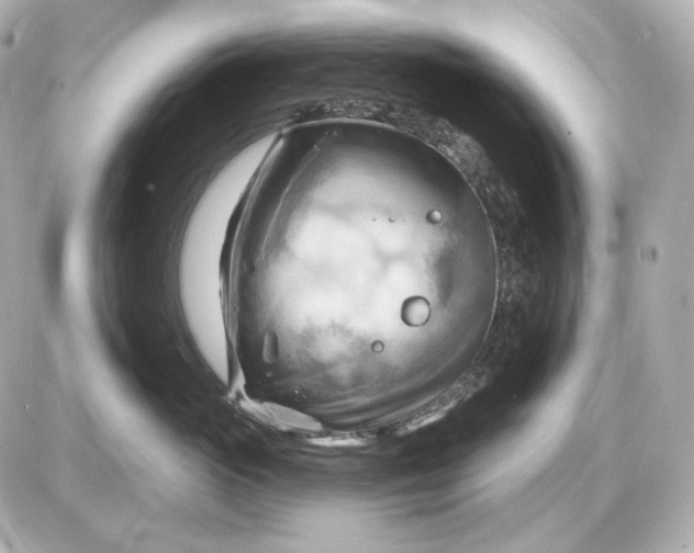 X0000087550765200705112121