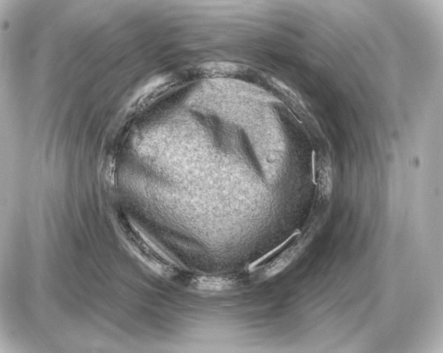 X0000087550766200705112121