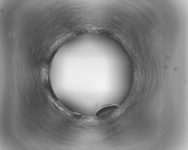 X0000087550768200705112121