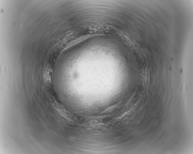 X0000087550770200705112120