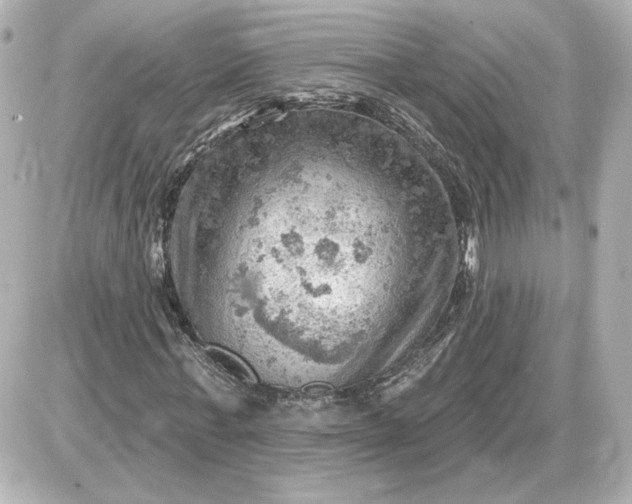 X0000087550771200705112120