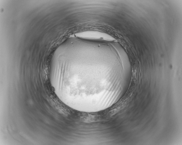 X0000087550772200705112120