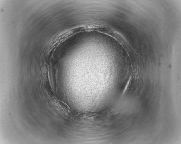 X0000087550773200705112120