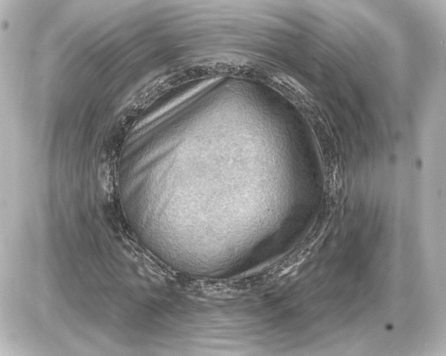 X0000087550774200705112120