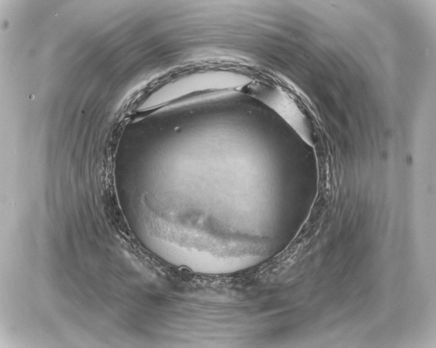 X0000087550775200705112120