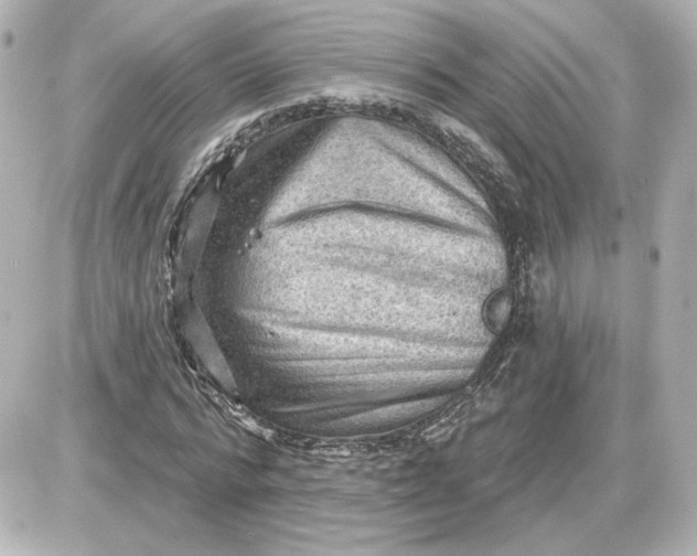 X0000087550776200705112120