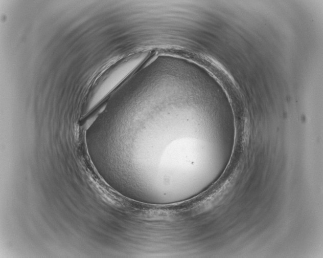 X0000087550777200705112120