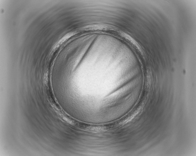 X0000087550778200705112120