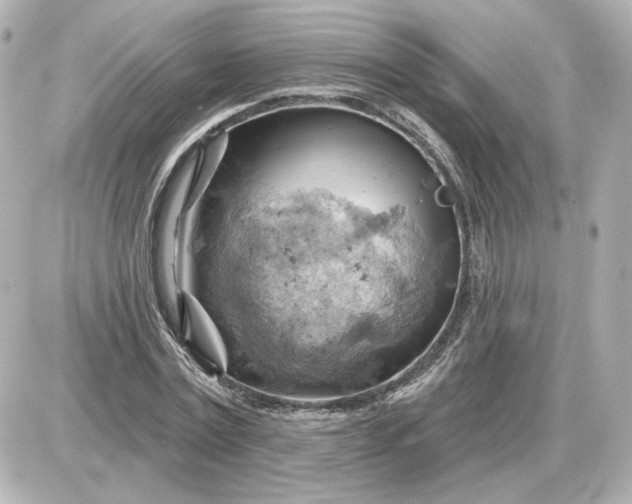 X0000087550779200705112120