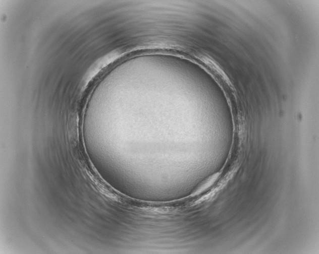 X0000087550781200705112120