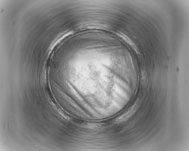 X0000087550782200705112120