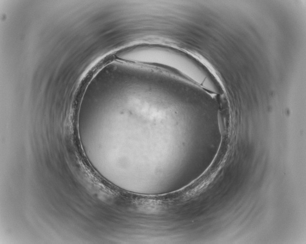 X0000087550783200705112120