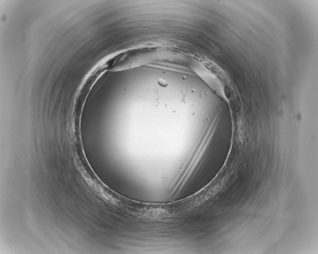 X0000087550784200705112120