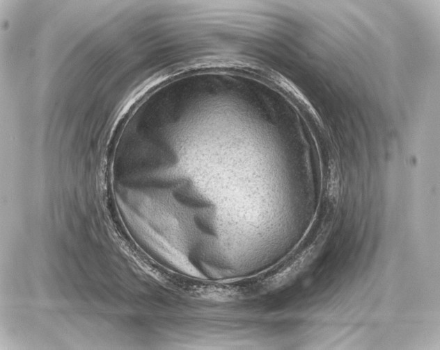 X0000087550786200705112120