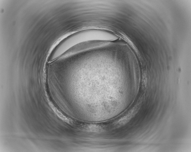 X0000087550787200705112120