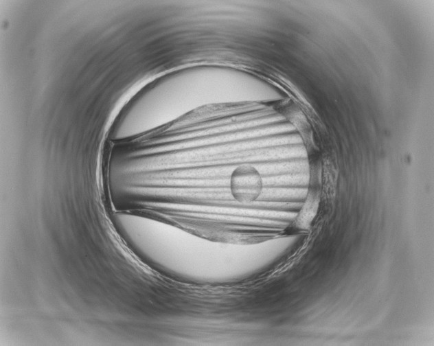 X0000087550788200705112120