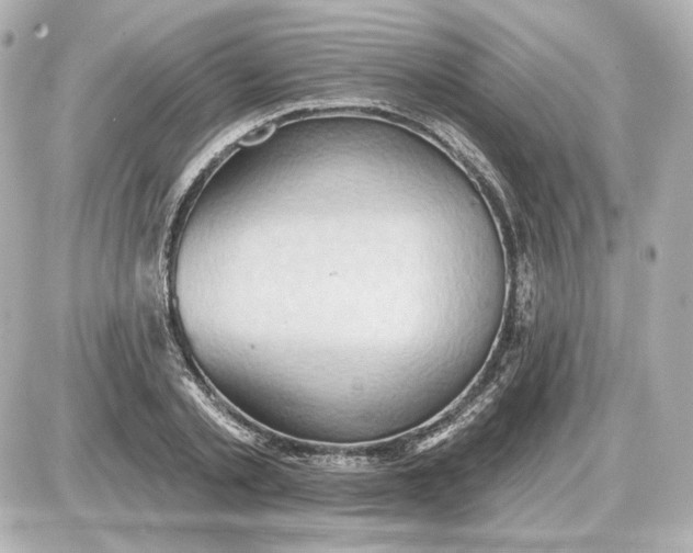 X0000087550789200705112120