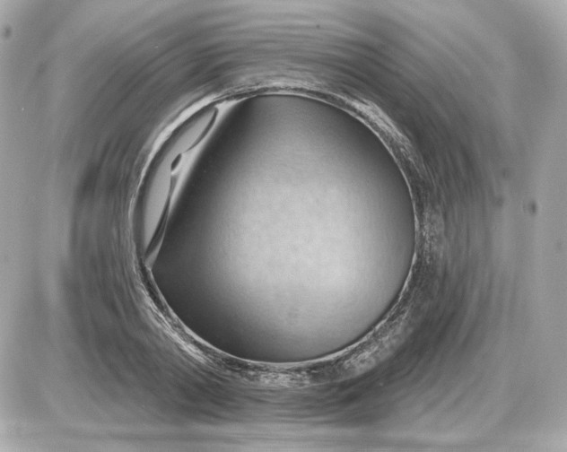 X0000087550790200705112120