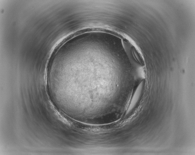 X0000087550791200705112120