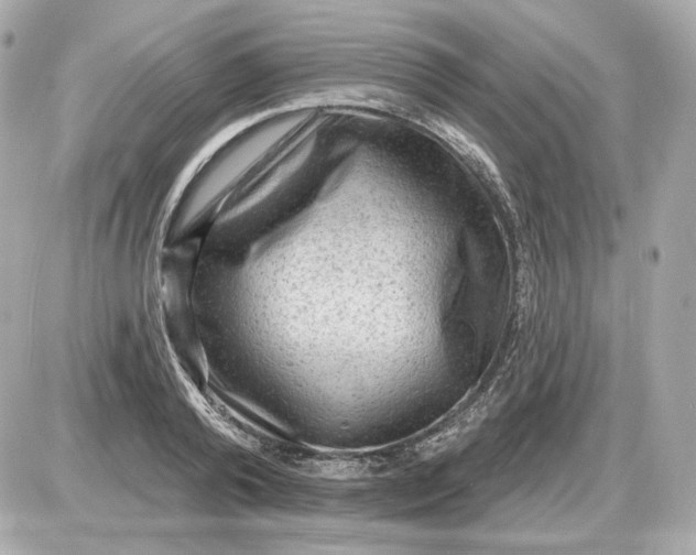 X0000087550792200705112120