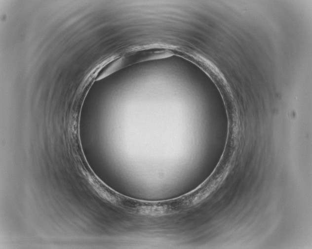 X0000087550793200705112120