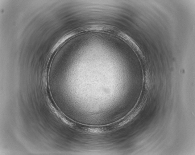 X0000087550794200705112120