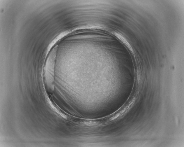 X0000087550797200705112120