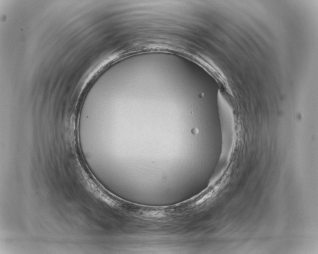 X0000087550798200705112120