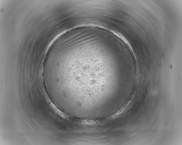 X0000087550799200705112120