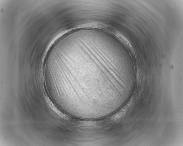 X0000087550800200705112120