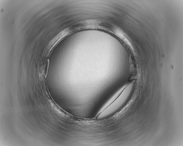 X0000087550801200705112120