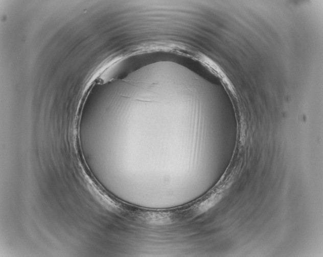 X0000087550802200705112120