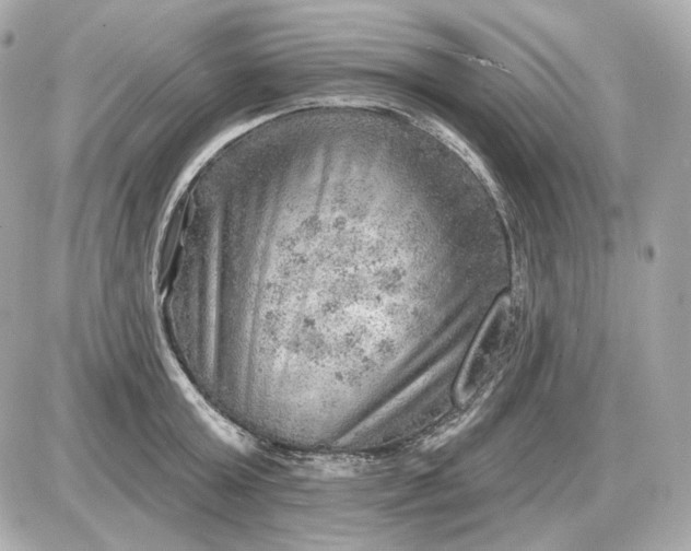 X0000087550803200705112120