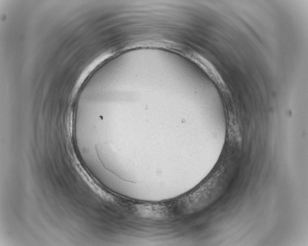 X0000087550804200705112120