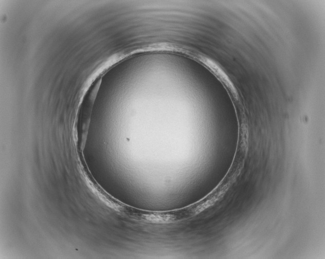 X0000087550805200705112120